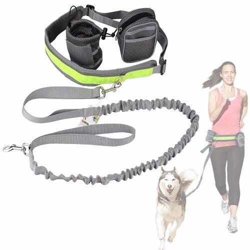 CadrimHands Free Dog Walking Gürtel mit 2 Packund Reflexstreifen (grau)
